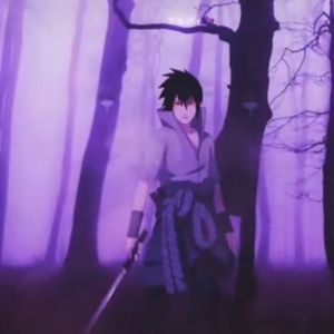 Meet your Posher, Noel